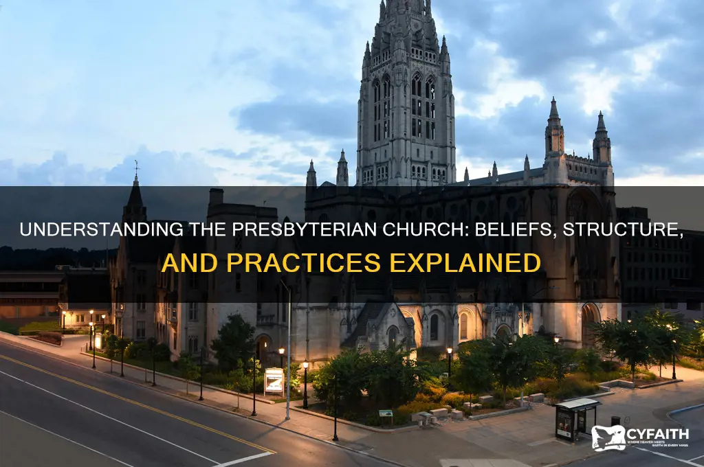 what is the meaning of presbyterian church