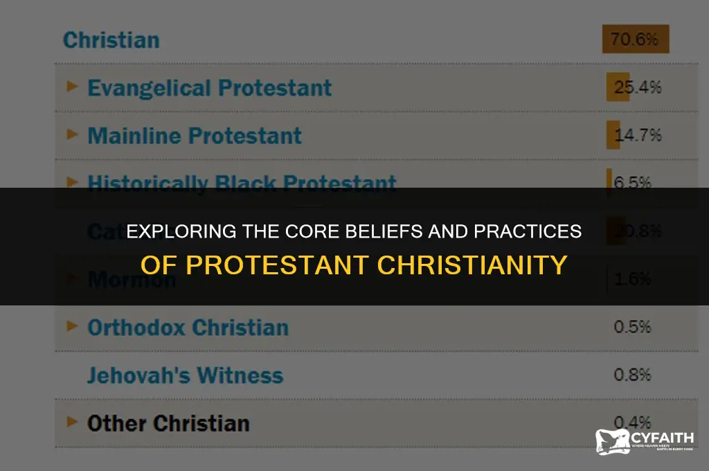 what is the meaning of protestant christianity