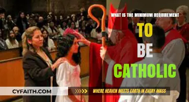 Essential Catholic Requirements: A Simple Guide