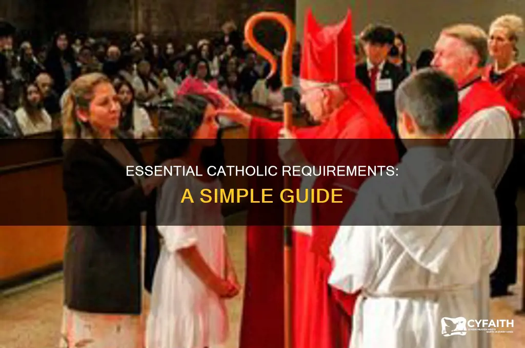 what is the minimum requirement to be catholic
