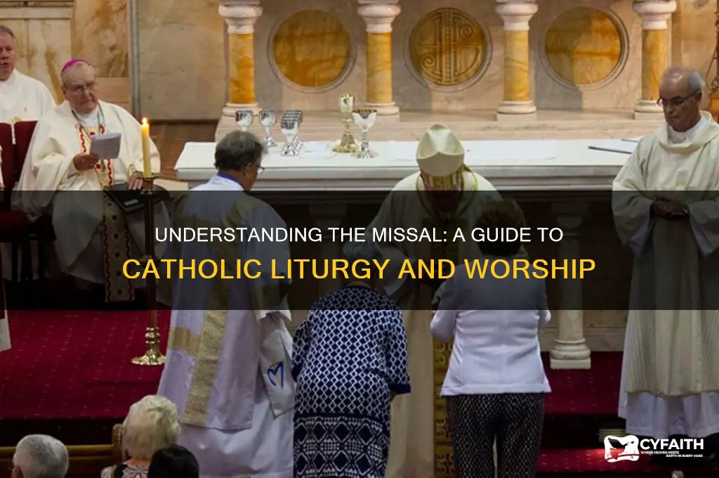 what is the missil catholic