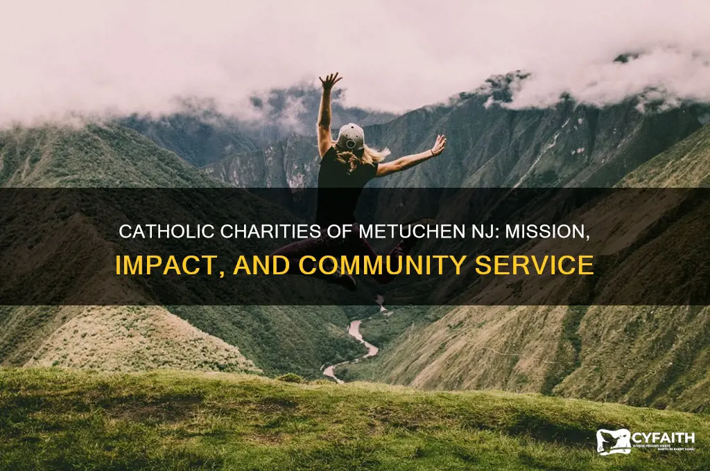 what is the mission of catholic charities of metuchen nj