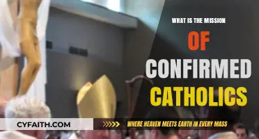 Confirmed Catholics: Our Mission and Your Faith