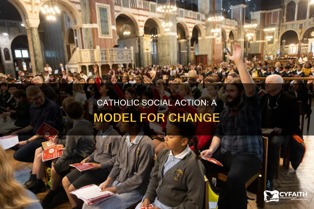 what is the model for catholic social action