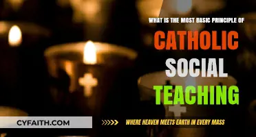 The Core of Catholic Social Teaching: Dignity, Solidarity, and Justice