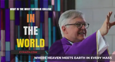 Exploring the World's Most Catholic College: Faith, Tradition, and Excellence