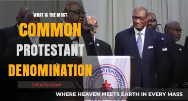 Exploring the Largest Protestant Denomination: A Comprehensive Guide