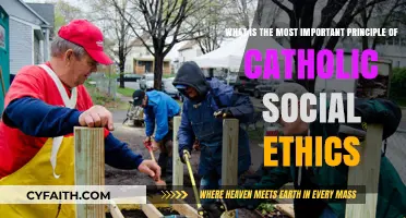 The Core Principle of Catholic Social Ethics: Dignity and Justice
