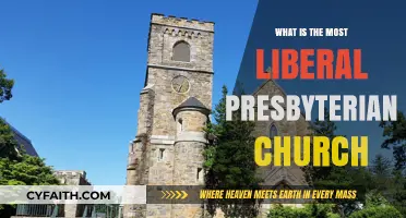 Exploring the Most Liberal Presbyterian Church: Beliefs, Practices, and Values