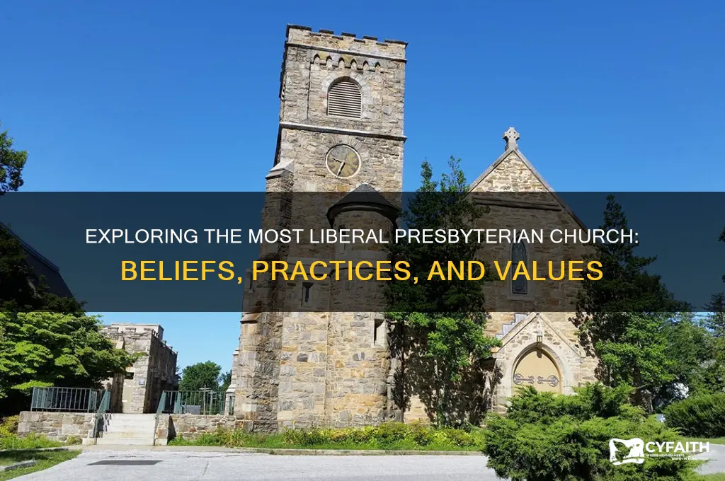 what is the most liberal presbyterian church