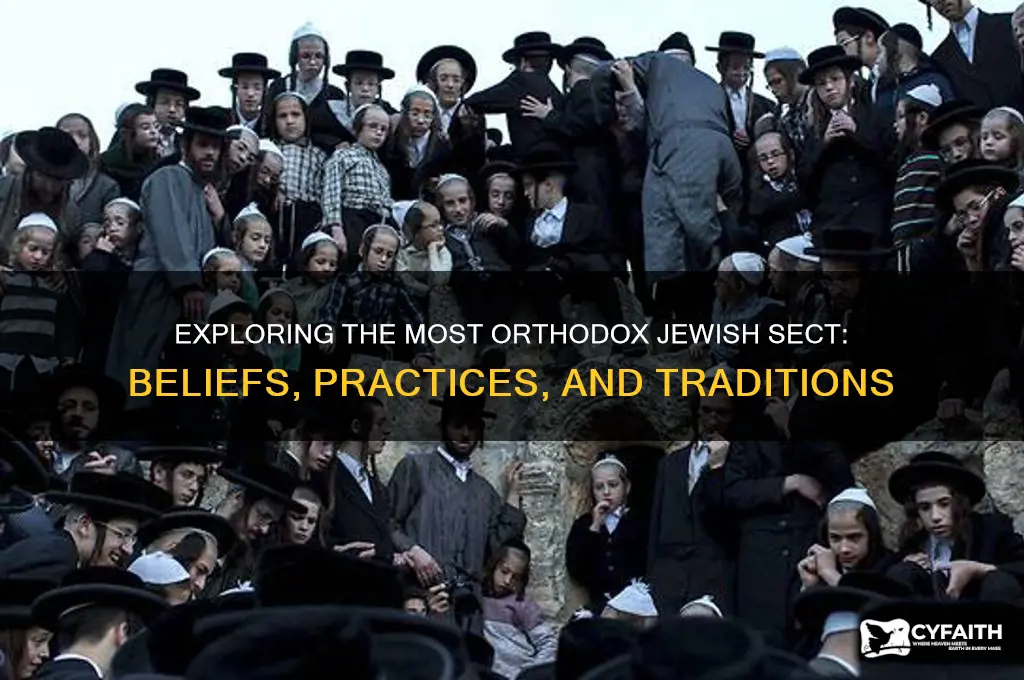 what is the most orthodox jewish sect