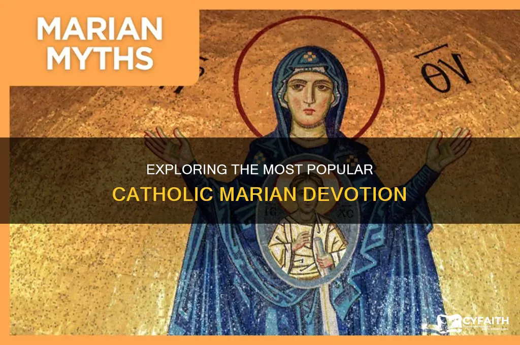 what is the most popular catholic marian devotion