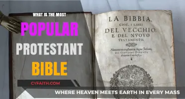 Exploring the Most Popular Protestant Bible: A Comprehensive Guide