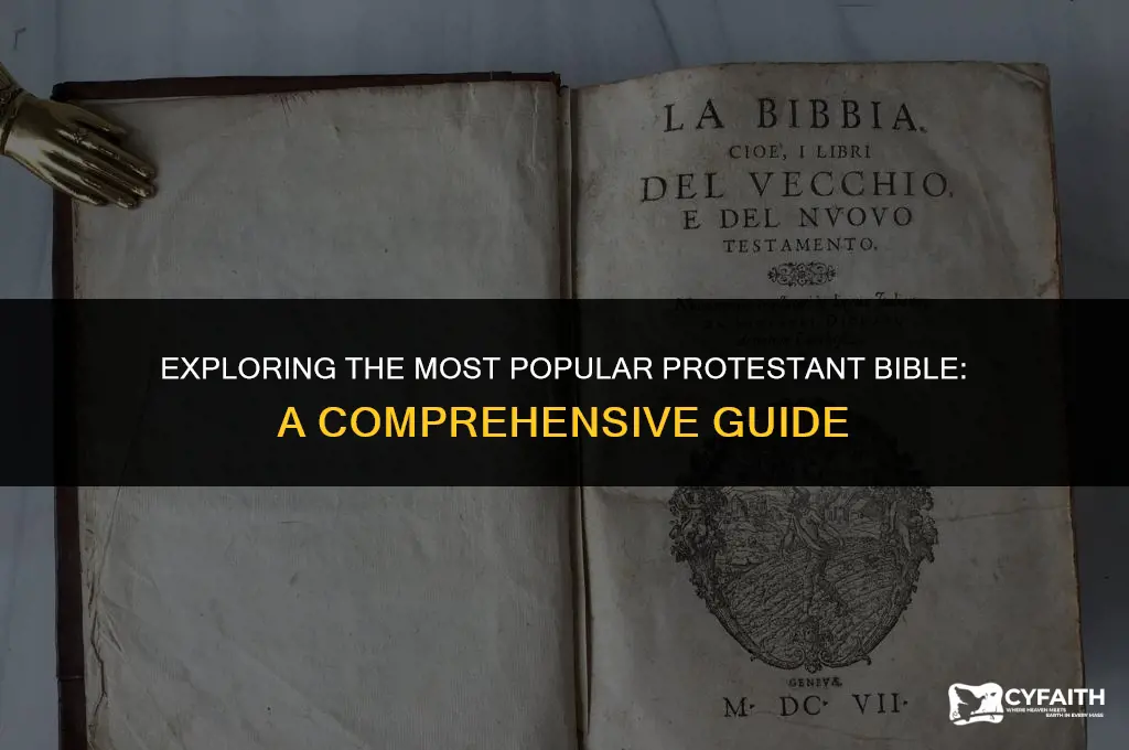 what is the most popular protestant bible