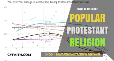 Exploring the Most Widespread Protestant Denomination Worldwide