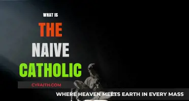 Understanding the Naive Catholic: Beliefs, Practices, and Modern Perspectives