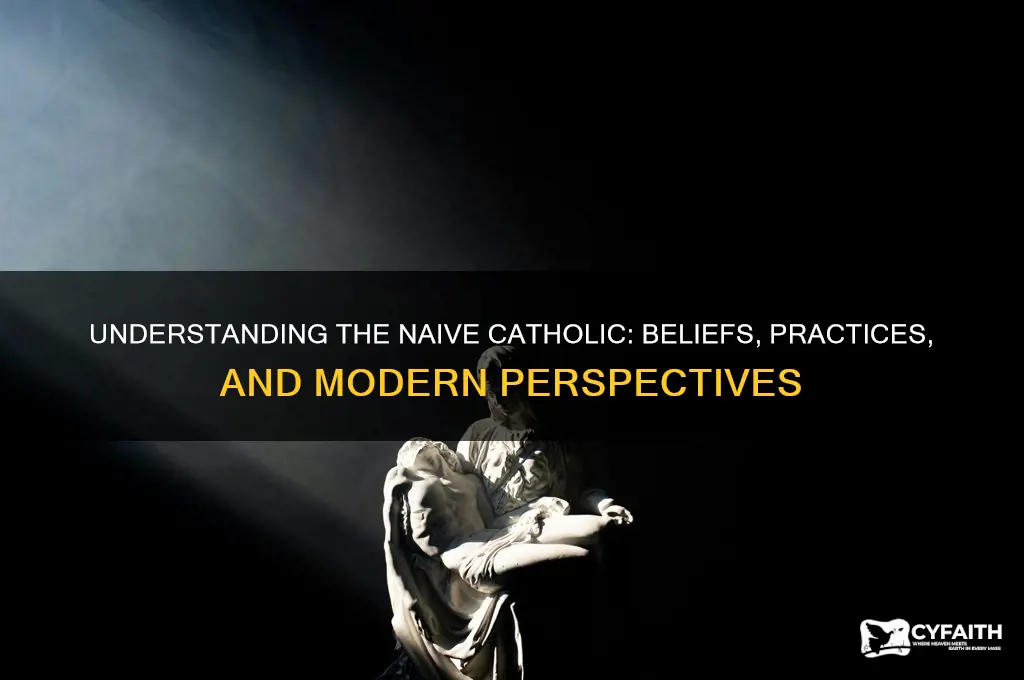 what is the naive catholic