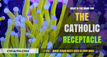 The Holy Grail: Catholic Receptacle Explained