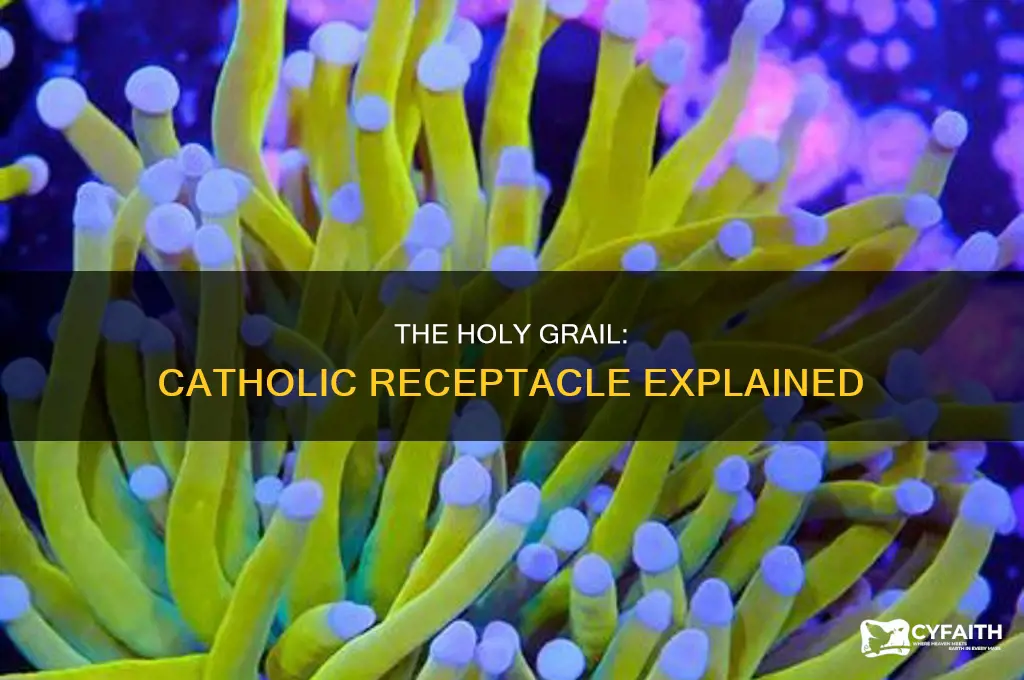 what is the name for the catholic receptacle