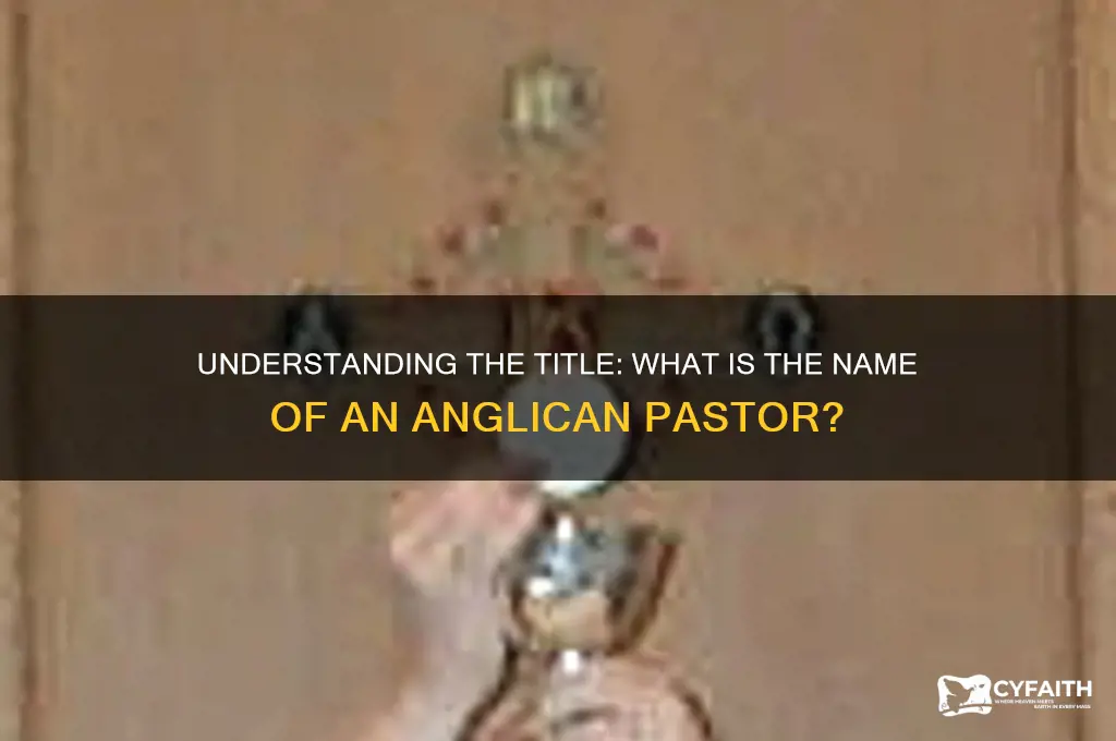 what is the name of anglican pastor