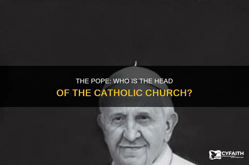 what is the name of catholic pope