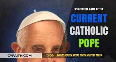 Who Leads the Catholic Church Today? Meet Pope Francis