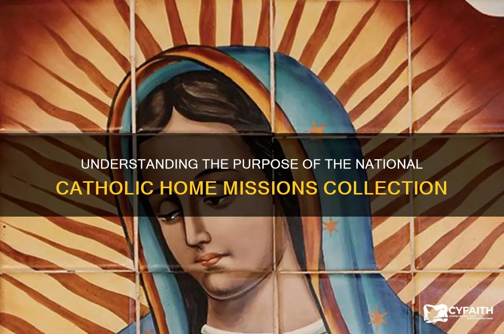what is the national catholic home missions second collection for
