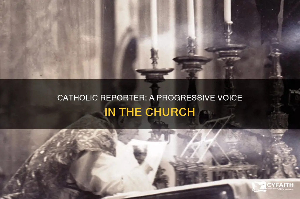 what is the national catholic reporter