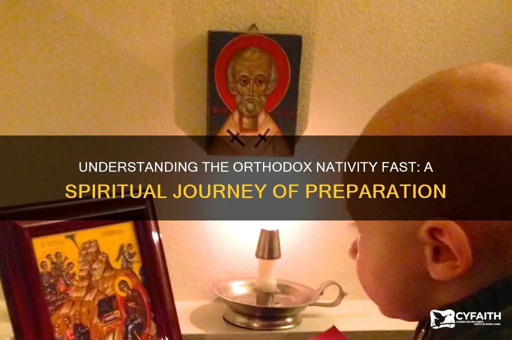 what is the nativity fast orthodox