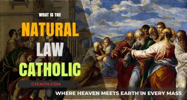 Catholic Natural Law: A Guide to Morality