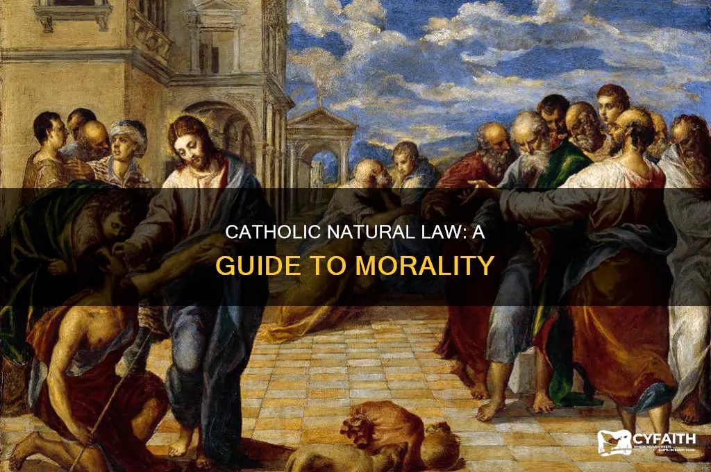 what is the natural law catholic