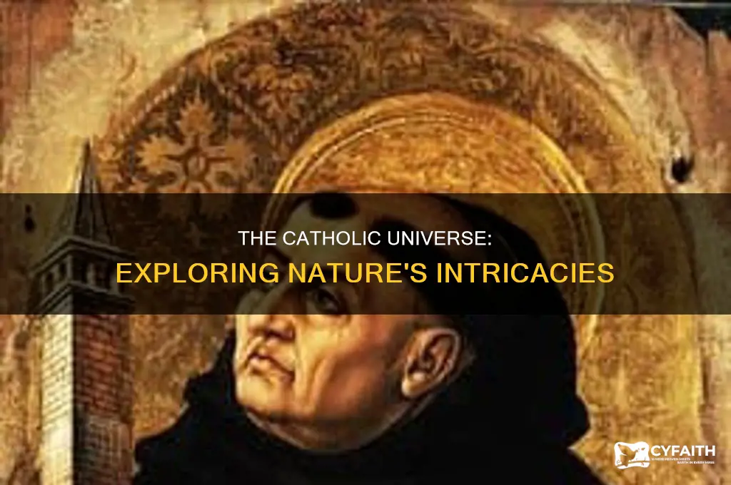 what is the nature of the universe catholic