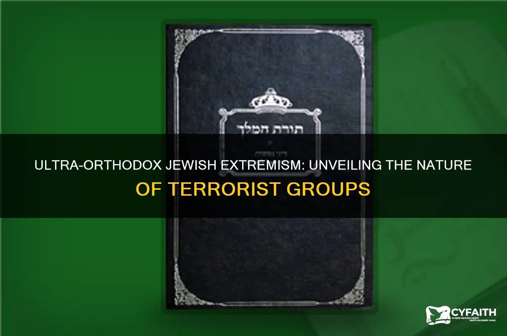 what is the nature of ultra-orthodox jewish terrorist groups