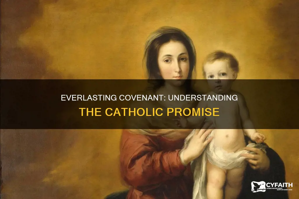 what is the new and everlasting covenant catholic