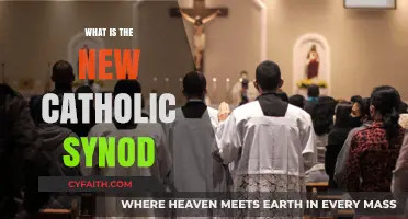 The Church's New Synod: Catholics Unite