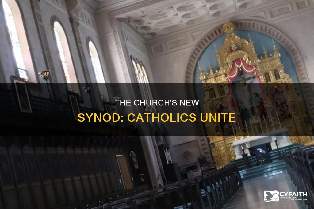 what is the new catholic synod