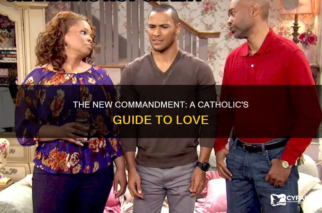 what is the new commandment catholic