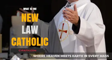 The New Law: Catholic Teaching Explained