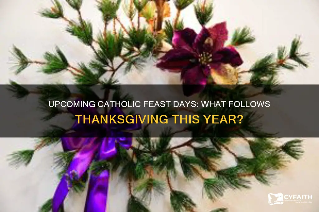 what is the next catholic holiday after thanks giving