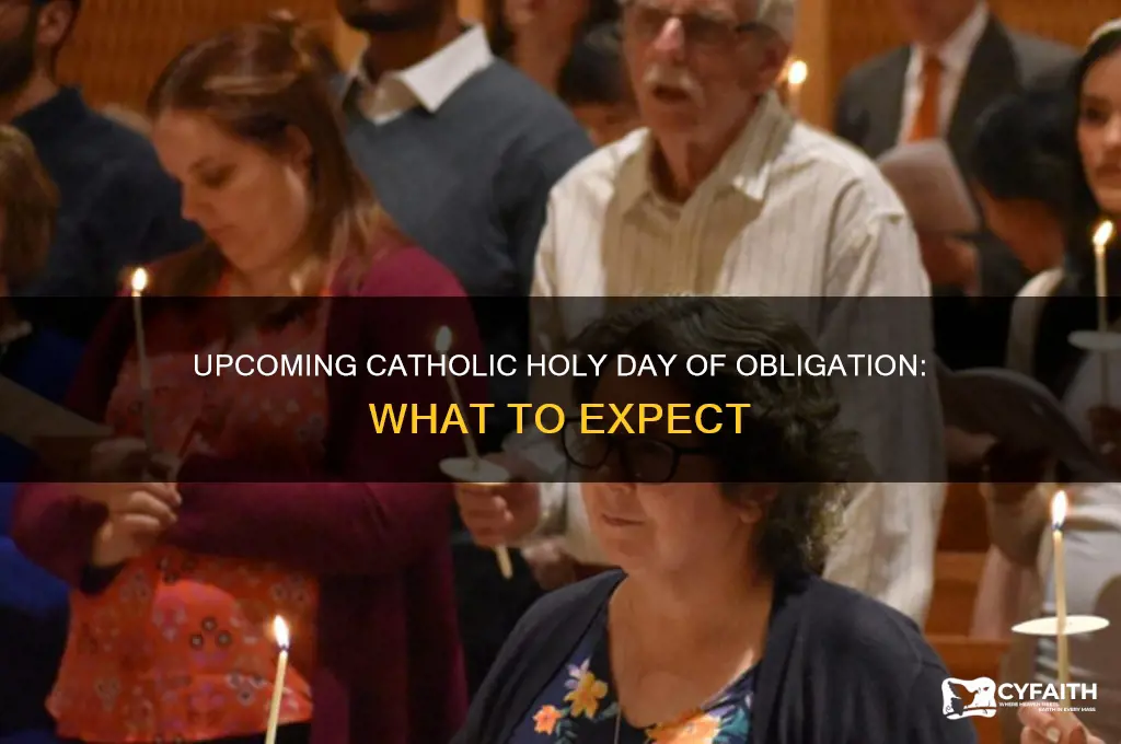 what is the next catholic holy day of obligation
