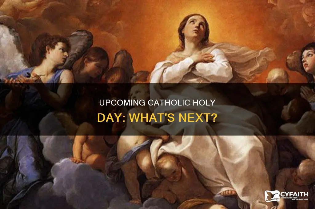 what is the next catholic holy day