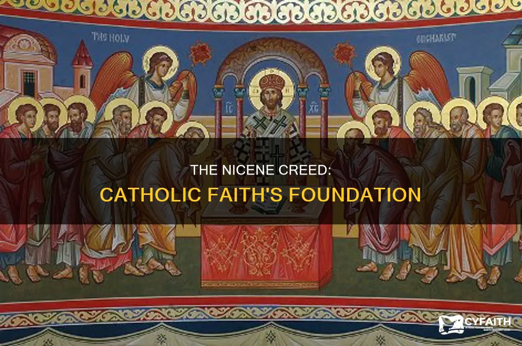 what is the nicene creed catholic