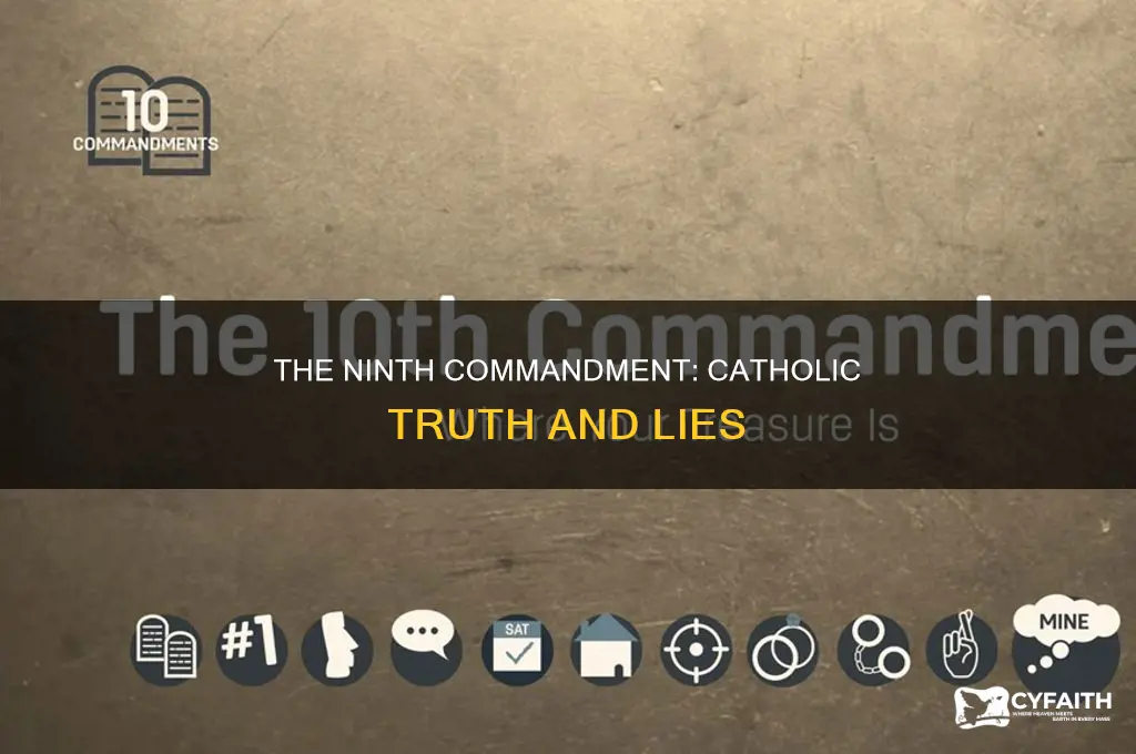 what is the ninth commandment catholic