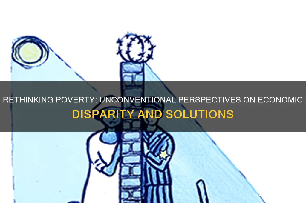 what is the non-orthodox theory on poverty