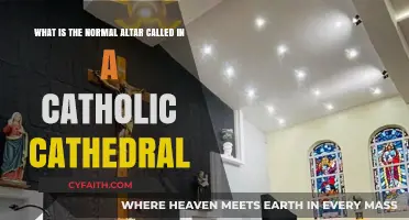Understanding the High Altar's Role in Catholic Cathedral Liturgy