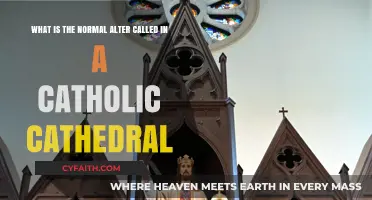 Understanding the Purpose of the Normal Altar in Catholic Cathedrals