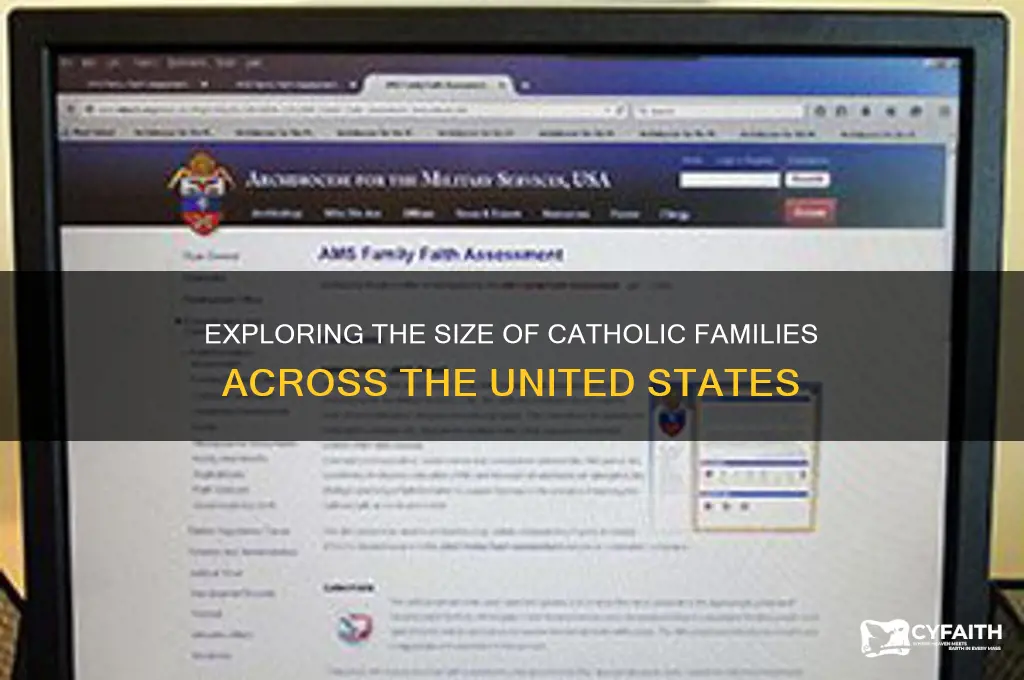 what is the number of catholic familes in the usa