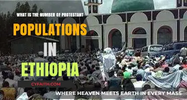 Exploring Ethiopia's Religious Landscape: The Protestant Population