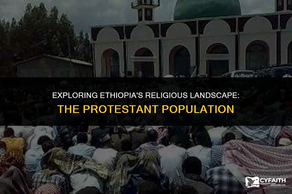 what is the number of protestant populations in ethiopia