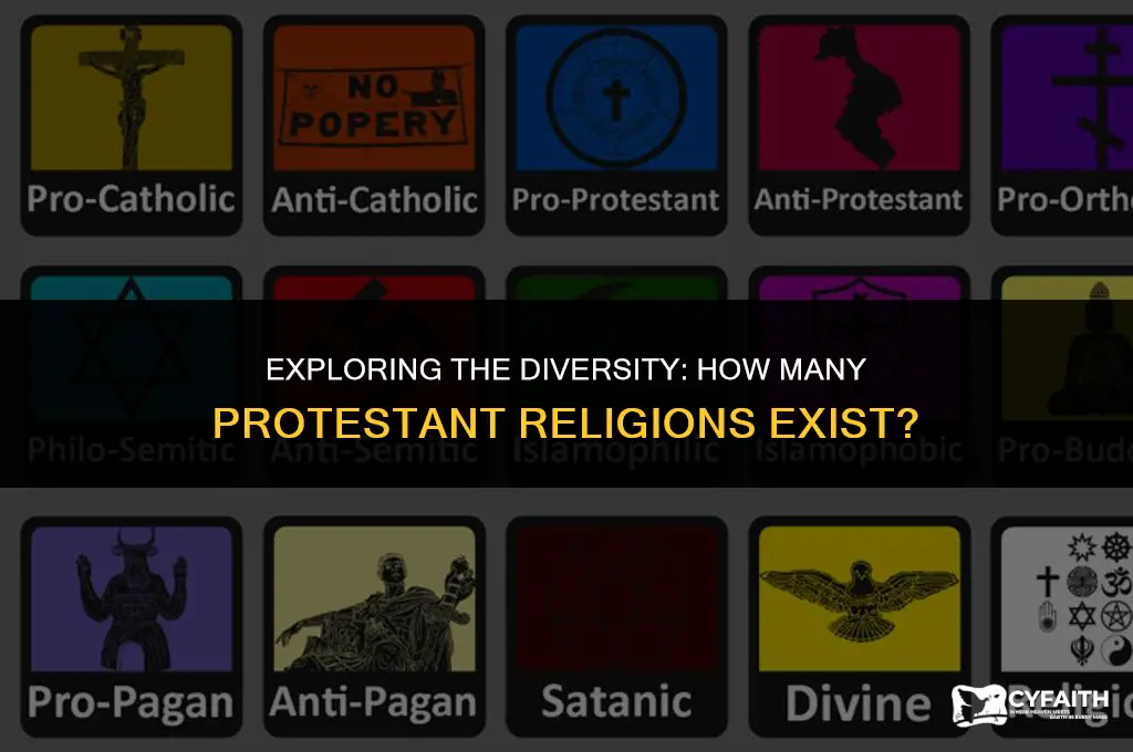 what is the number of protestant religions